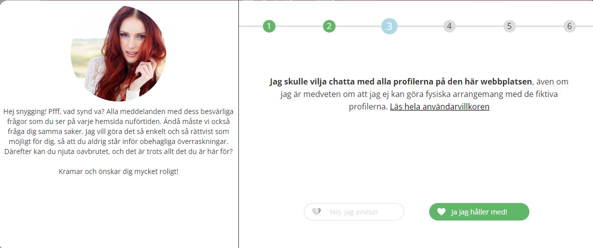 I registreringsprocessen varnas vi återigen för falska profiler.
