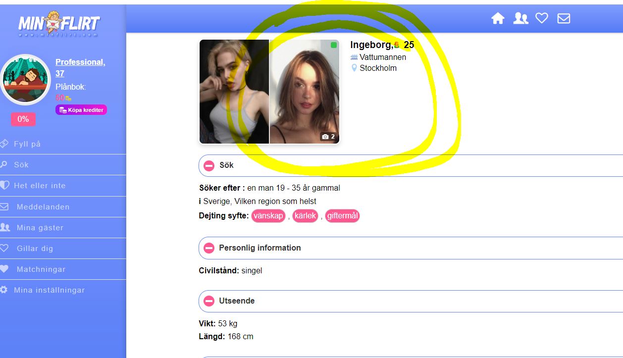 minflirt falska profiler