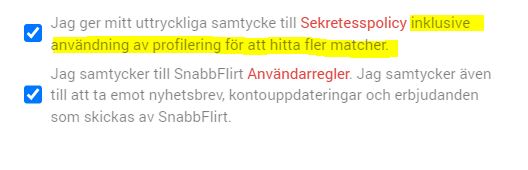 snabbflirt